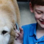 A boy and his dog | Durham Family Portraits | North Carolina