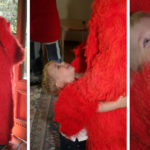 William's 2nd Birthday Party with Special Guest, Elmo | Children's Birthday Party