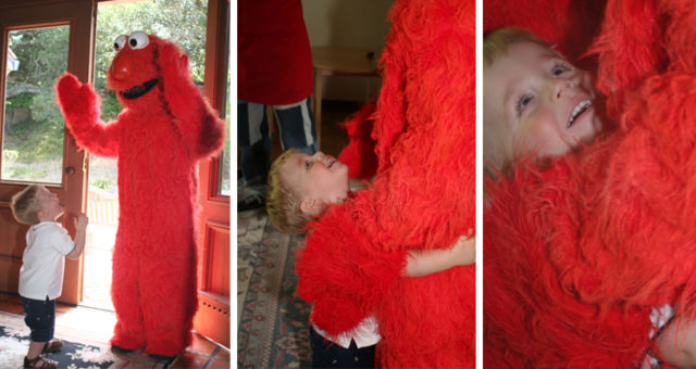 William's 2nd Birthday Party with Special Guest, Elmo | Children's Birthday Party