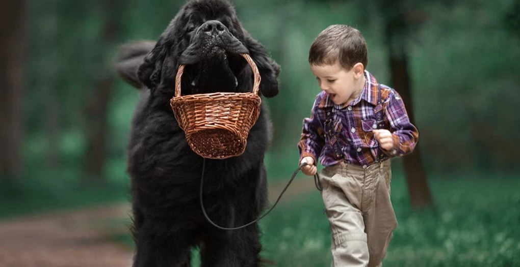 Little Kids and Their Big Dogs by Andy Seliverstoff will steal your heart!