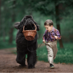 Little Kids and Their Big Dogs by Andy Seliverstoff will steal your heart!