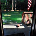 being a veteran means hanging your flag with pride.