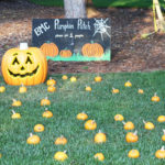 October Birthdays, Family Portrait Sessions, and the will to capture photographs for future generati...