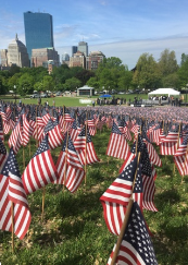 Barbara Bell Photography captures the 10th Annual Memorial Flag Garden in Boston Common