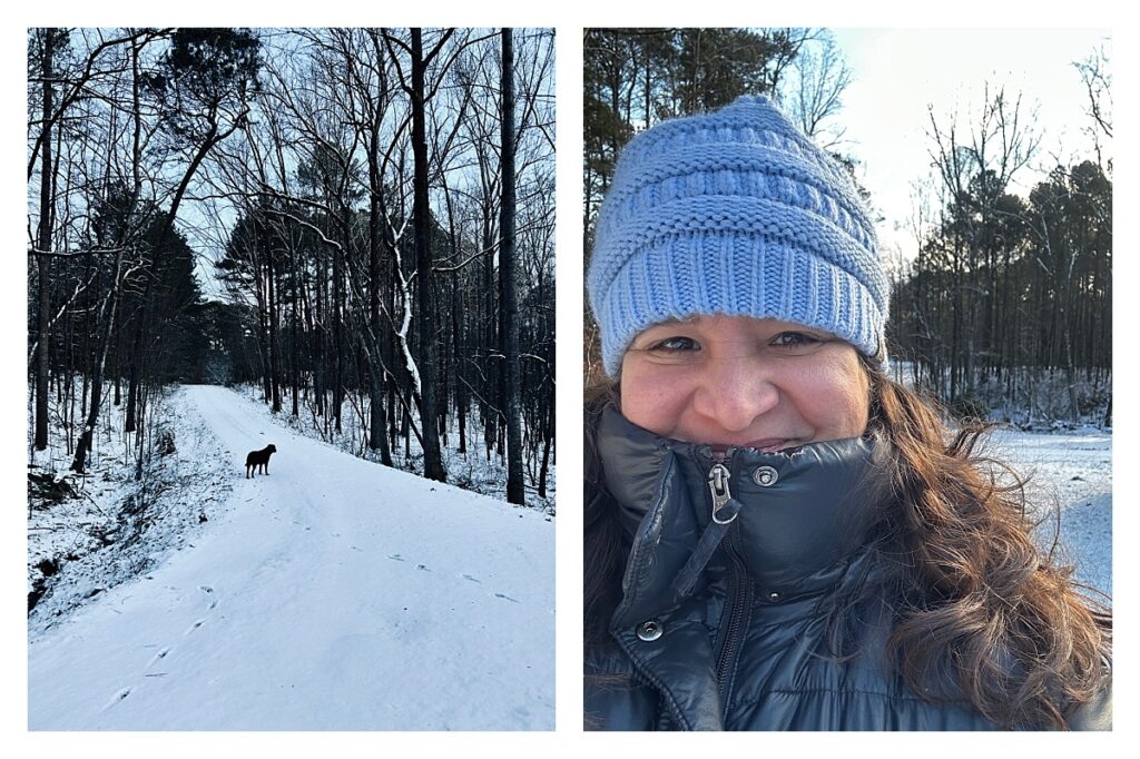 A dog on a snowy road on the left and a person in a blue hat on the left.